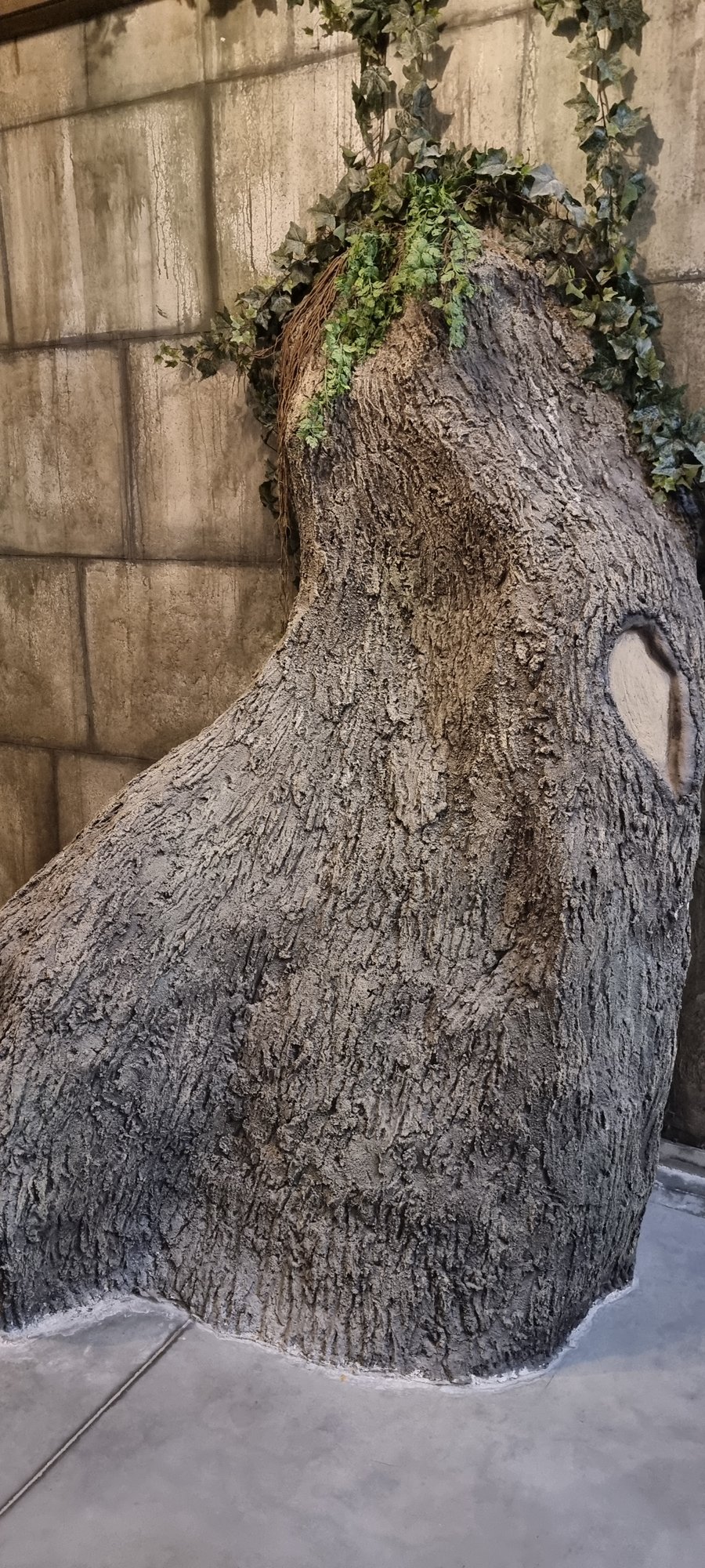 La nature qui reprend ses droits sur le temple, dans le décor d'Ankor